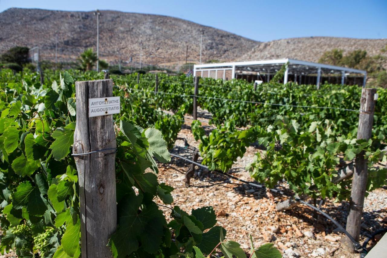 Hotel Anemi Folegandros Karavostasis  Zewnętrze zdjęcie